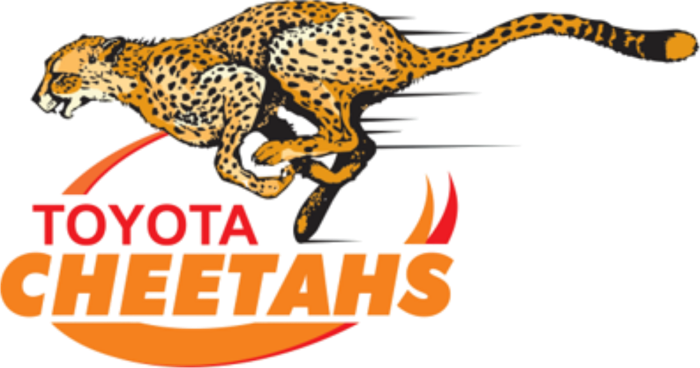 Cheetahs